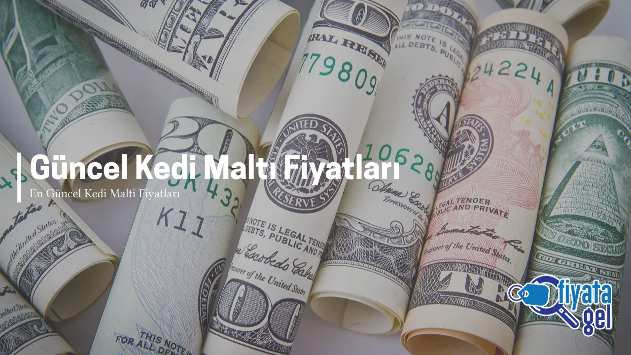 Güncel Kedi maltı Fiyatları